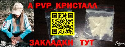 молекула духа Тверь