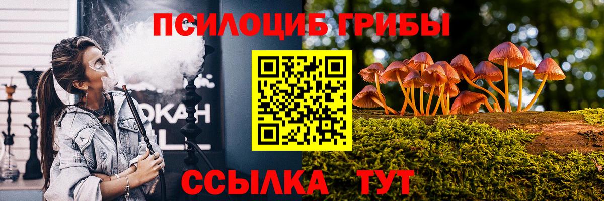 Галлюциногенные грибы Psilocybine cubensis  Вход с VPN  где найти наркотики  Стрежевой  Галлюциногенные грибы Magic Shrooms 