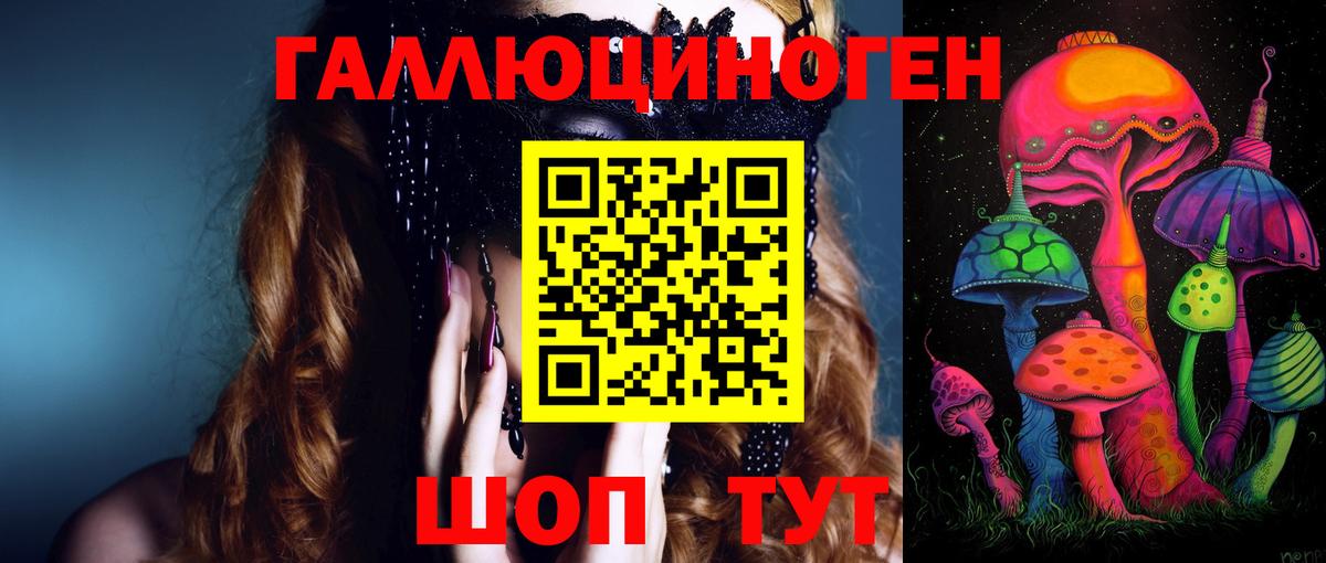 Псилоцибиновые грибы Psilocybe Стрежевой